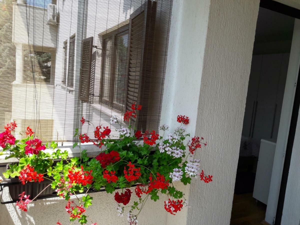 Apartments Ruzica プーラ エクステリア 写真